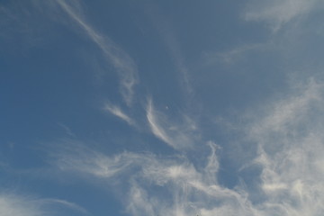 Sky