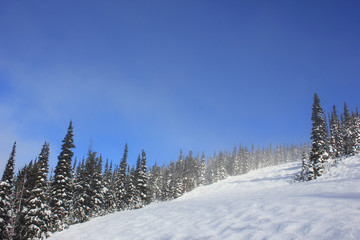 Fototapeta premium Sunny day like in a winterwonderland in beautiful whistler in canada, british columbia