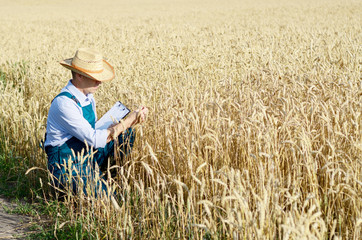 Farmer with clipboard inspecting crop at wheat field