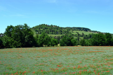 Frühlingslandschaft in Riehen bei Basel