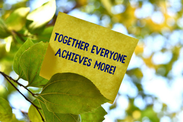 Word writing text Together Everyone Achieves More. Business photo showcasing Members create synergy with strong sense mutual commitment Piece of square paper use to give notation on tree leaf under