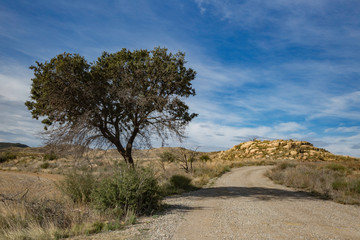 Aguarales de Valpalmas y sus magicas formas (Zaragoza,Espa&ntilde;a)