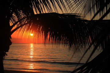 Sunset in Jamaica. Caribbean sea.
