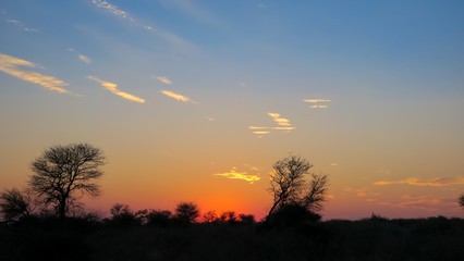 Fototapeta na wymiar African Sunset Chobe river