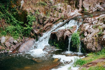 Au bord du lac de Montluçon dans le centre de la France