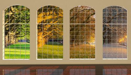 Four windows overlooking the park at different times of the year: spring, summer, autumn and winter