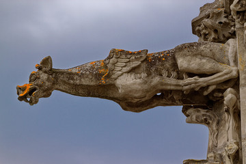 Fototapeta na wymiar Chateau d'Amboise - Gargouille