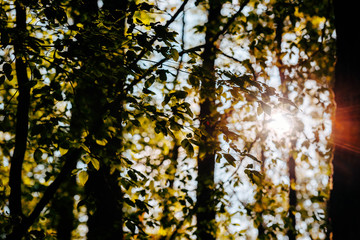 Reportage photo our l'office du tourisme de la Vallée de Loire et du Cher