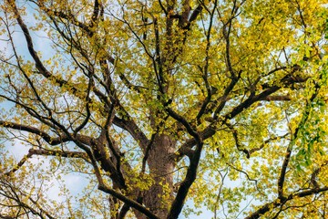 Reportage photo our l'office du tourisme de la Vallée de Loire et du Cher