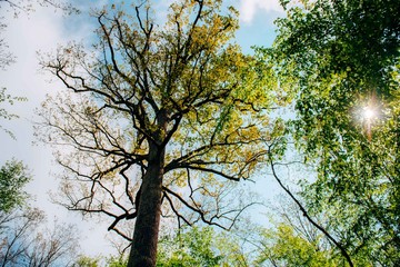 Reportage photo our l'office du tourisme de la Vallée de Loire et du Cher