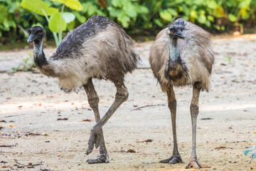 Zoo Kuala Lumpur