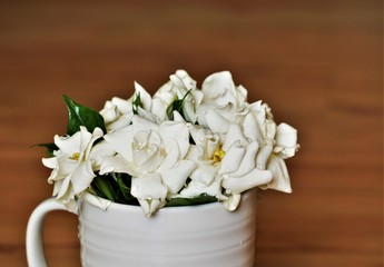 Bouquet of fragrant white Gardenia flower (Gardenia jasminoides) with leaves in the white ceramic glass on the blurred wooden table background, Spring in GA USA.