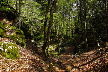 Felsenmeersteig bei Albstadt-Laufen, Schwäbische Alb