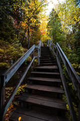 Fototapeta na wymiar wooden bridge in the forest, Canada