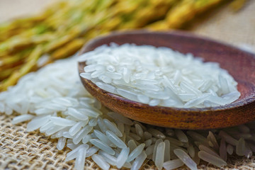 Jasmine white rice with gold grain from agriculture farm.