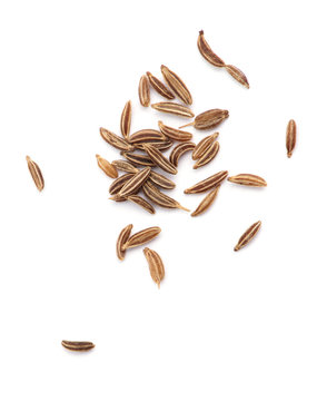 Caraway isolated on white background.
