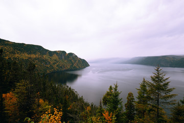 View of the Sagenay fjord in the forest
