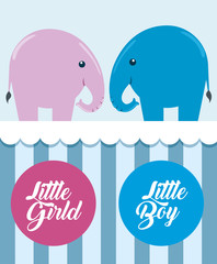 Naklejka premium pink and blue elephants with little boy and girl labels
