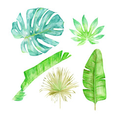Set of watercolor tropical leaves, hand-drawn vector illustration of exotic floral elements isolated on white background. Leaf of palm trees and flowers, vivid jungle foliage. Greeting card, wedding.