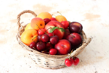 Fruit plate with nectarine , peach , cherry and apricot 