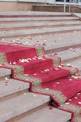 red carpet on the steps, flower petals, color photography