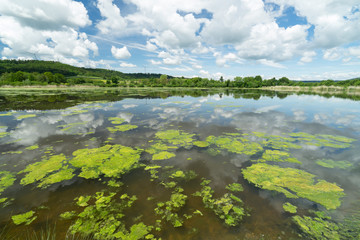 Wolkenspiegelung