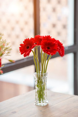 Beautiful red gerbera flower in vase.