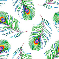 Fototapeta na wymiar Gouache seamless exotic pattern with colorful peacock feathers