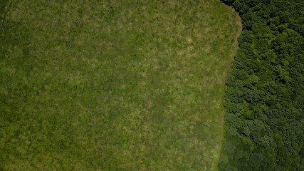 Green landscape with forest and meadowv - top down aerial view