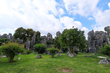 Fototapeta na wymiar The Stone Forest landscape in Yunnan. This is a limestone formations located in Shilin Karst area, Yunnan, China