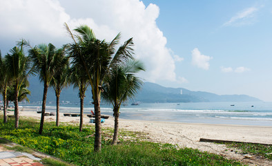 DA NANG SCENERY - beach with coconut tree