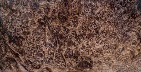 Nature salao burl wood striped