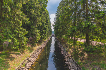 park in the suburbs of St. Petersburg in the summer