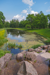 Fototapeta na wymiar park in the suburbs of St. Petersburg in the summer