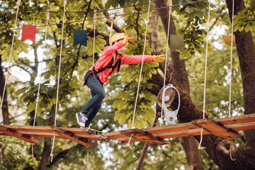 Toddler kindergarten. Small boy enjoy childhood years. Happy Little child climbing a tree. Portrait...