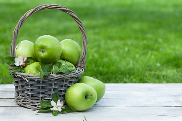 Fresh garden green apples in basket