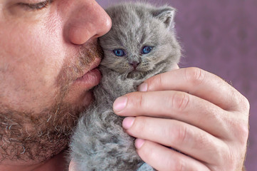 the bearded man embraces a little kitten