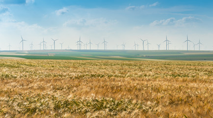 Eolian generators in a beautiful wheat field. eolian turbine farm. Wind turbine, wind field with wind turbines. Wind propeller. Wheat Field Agriculture. Eolian turbines used to produce energy. 
