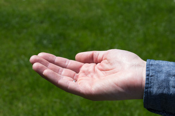hands of man on grass background