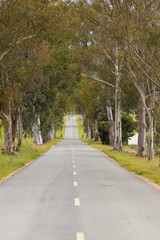 landscape of country road. Countryside road
