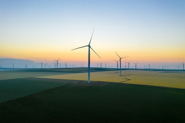 Aerial view of Eolian generators in a beautiful wheat field. Eolian turbine farm. Wind turbine silhouette. Wind field turbines. Wind propeller. Electric power production. Green energy. Morning light