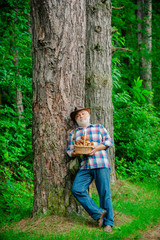 Naklejka na ściany i meble Picking mushrooms. Mushroom in the forest, senior man collecting mushrooms in the forest.