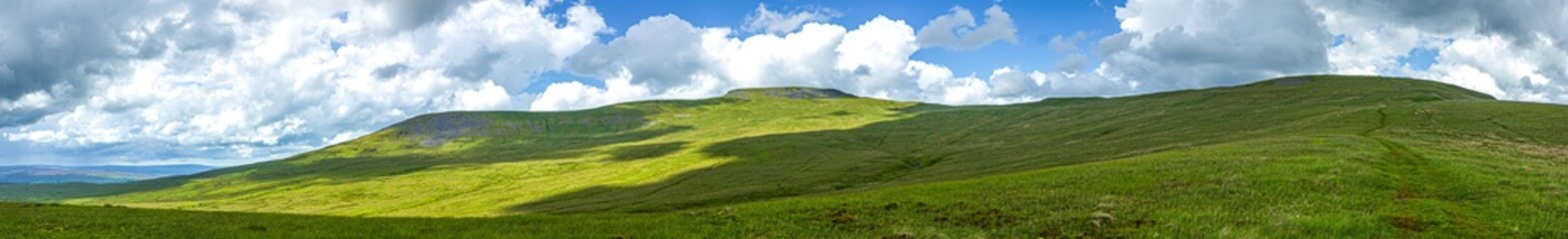 Fototapeta na wymiar A panoramic view of a mountain with grassy green slope under a majestic blue sky and white clouds