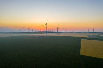 Aerial view of Eolian generators in a beautiful wheat field. Eolian turbine farm. Wind turbine silhouette. Wind field turbines. Wind propeller. Electric power production. Green energy. Morning light