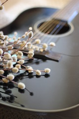 Black guitar and willow twigs, color photo