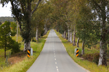 landscape of country road. Countryside road