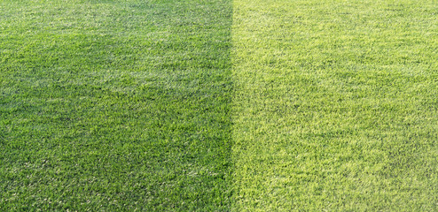 Beautiful closeup of fresh green grass for football sport, football field