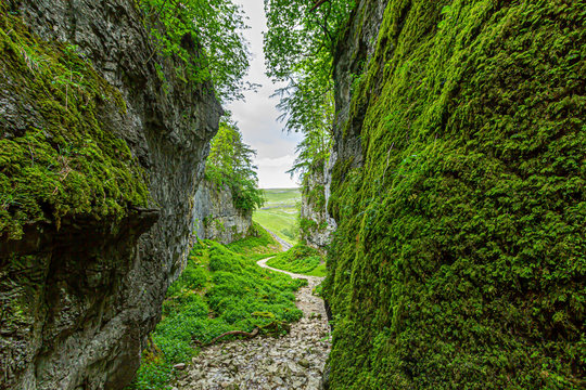 A view of a rocky ravine with green vegetation and rocky  path trail