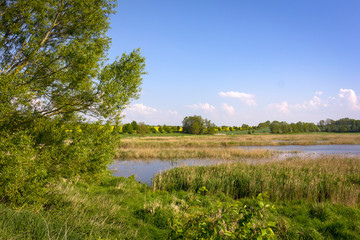 Beautiful Landscape in the springtime.