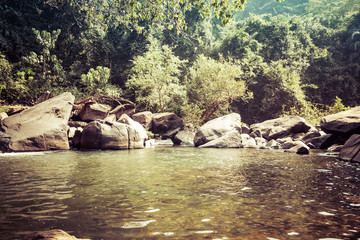 Landscape of the mountain river Mandovi at the Dudhsagar waterfall